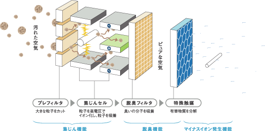 �}�C�i�X�C�I���̔��������ƌ���